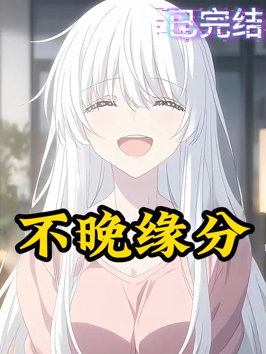 不晚缘分封面
