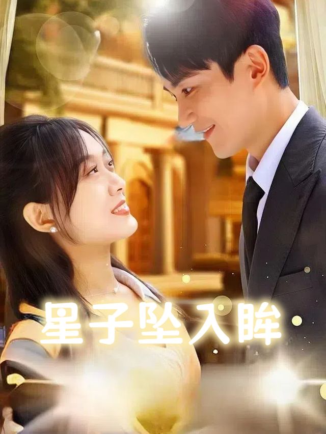 星子坠入眸封面