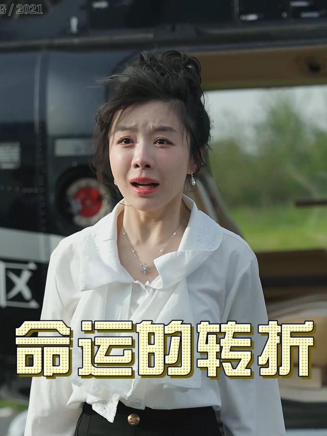 命运的转折封面