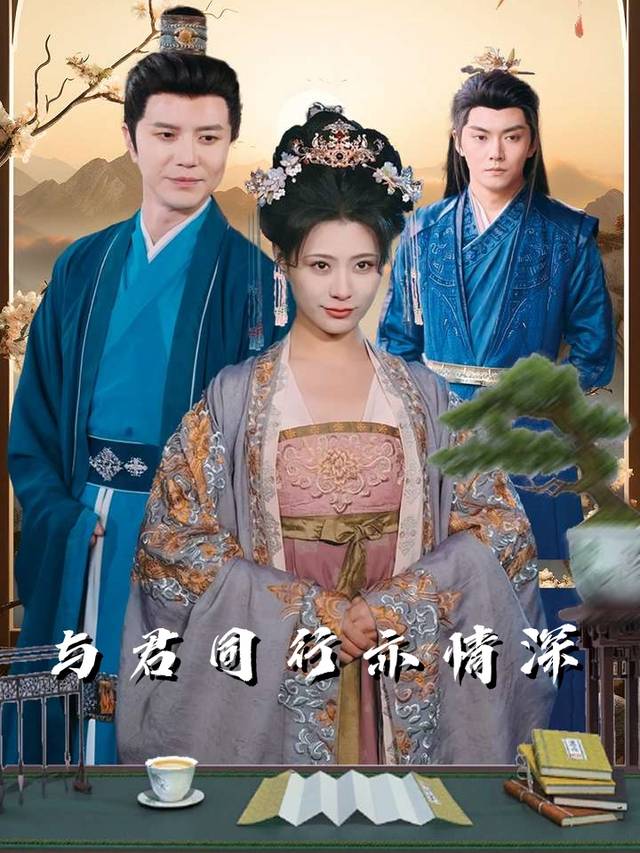 与君同行亦情深封面