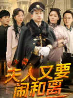 少帅,夫人又闹和离了封面