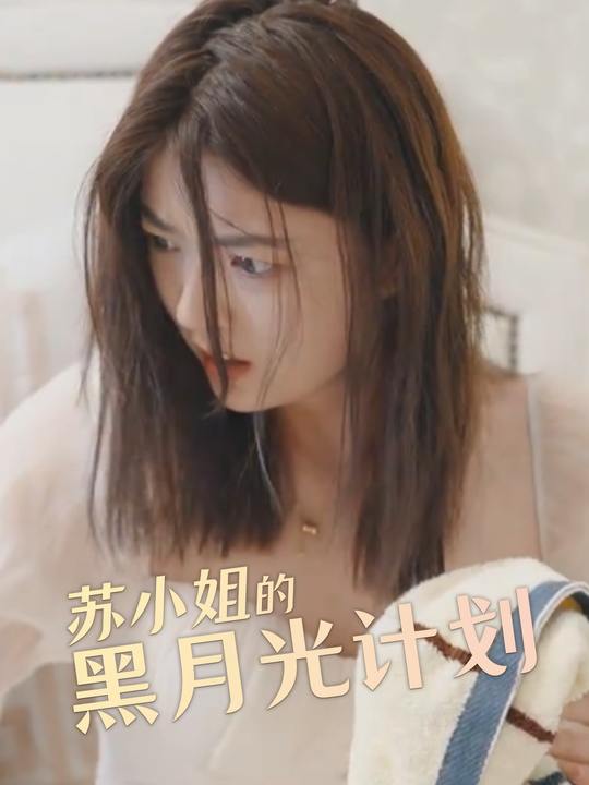 苏小姐的黑月光计划封面