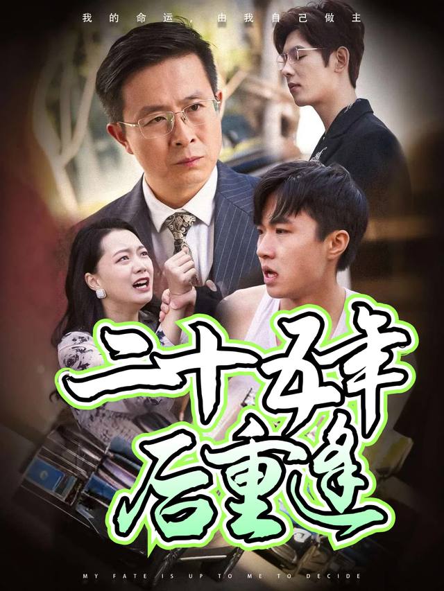 二十五年后重逢封面