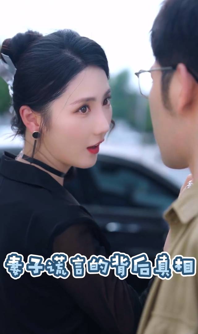 妻子谎言的背后真相封面