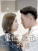 重燃反击小娇妻封面