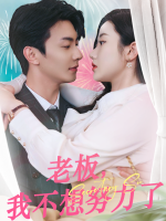 老板,我不想努力了封面