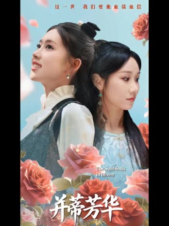 并蒂芳华封面