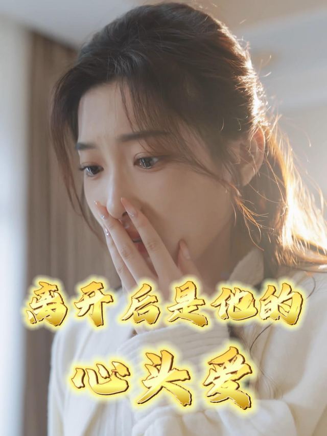 离开后是他的心头爱封面