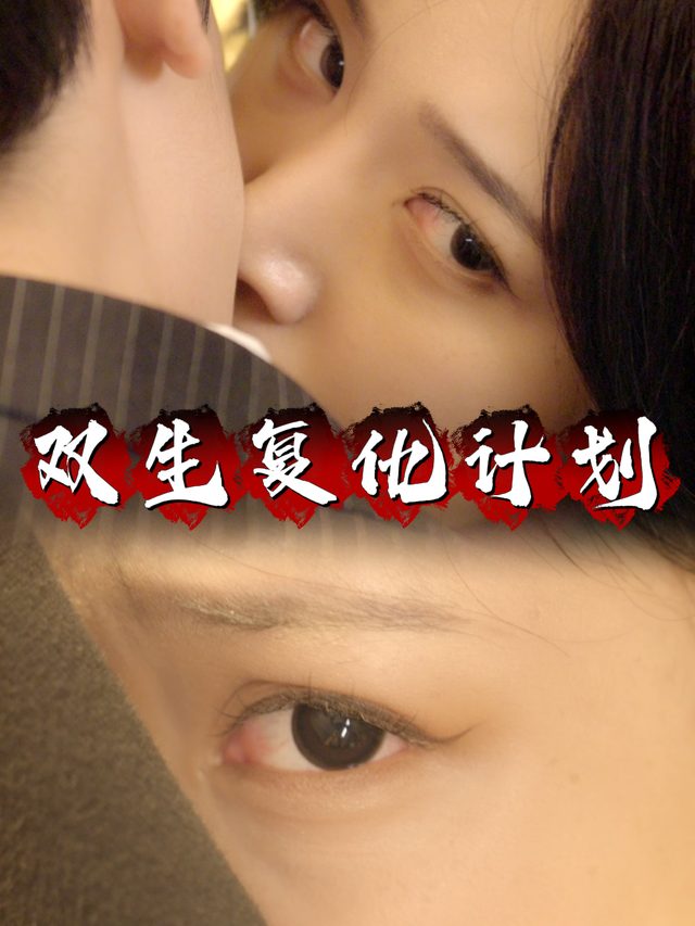 双生复仇计划封面