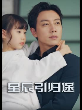 星辰引归途封面