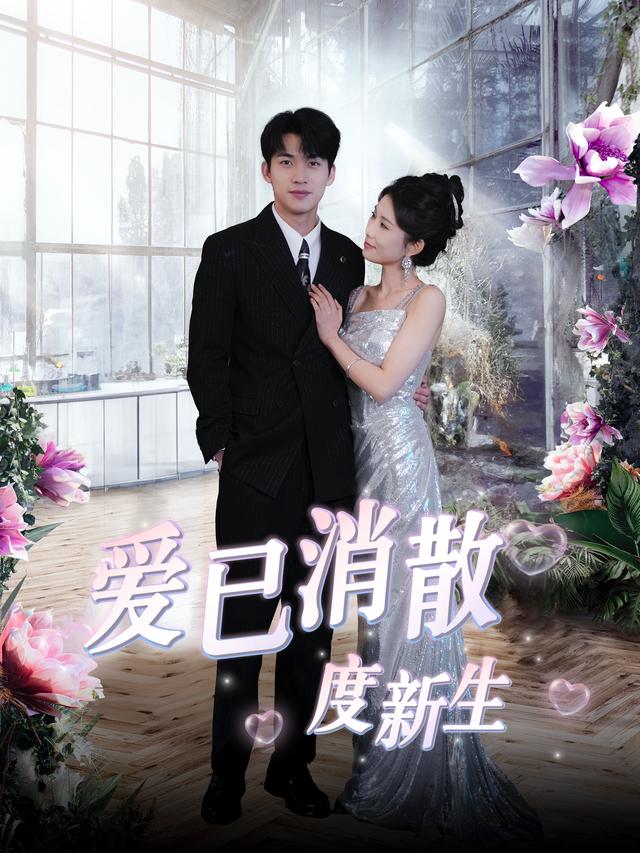 爱已消散渡新生封面