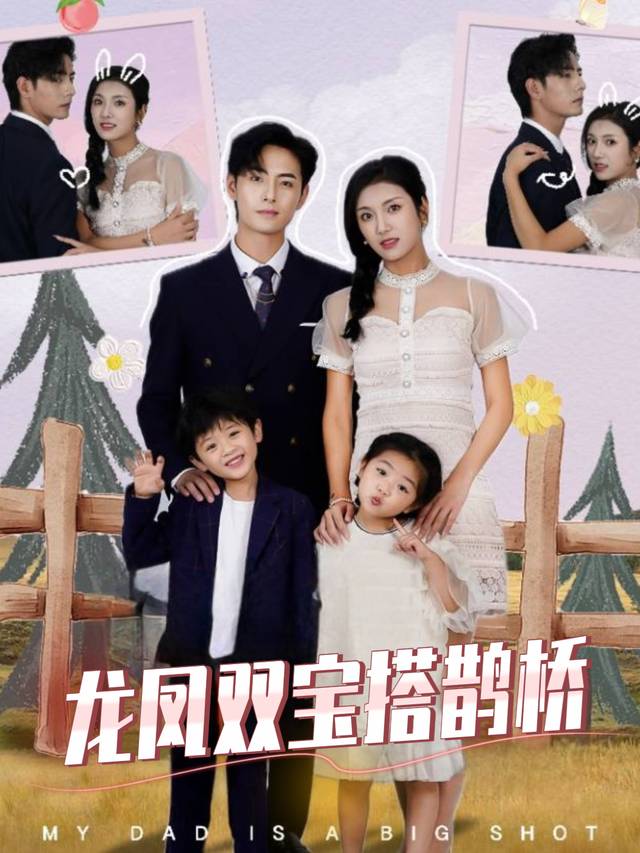 龙凤双宝搭鹊桥封面