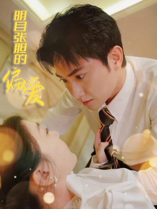 明目张胆的偏爱封面