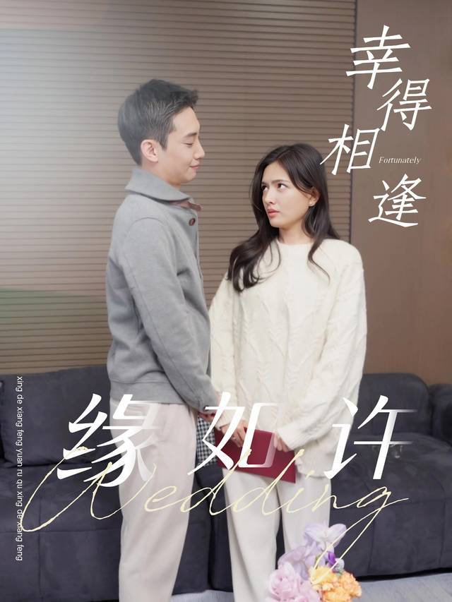 幸得相逢缘如许封面
