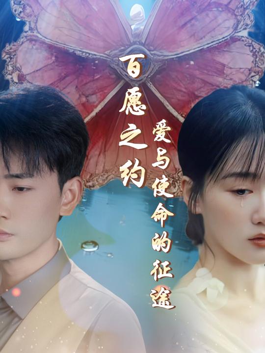 百愿之约:爱与使命的征途封面