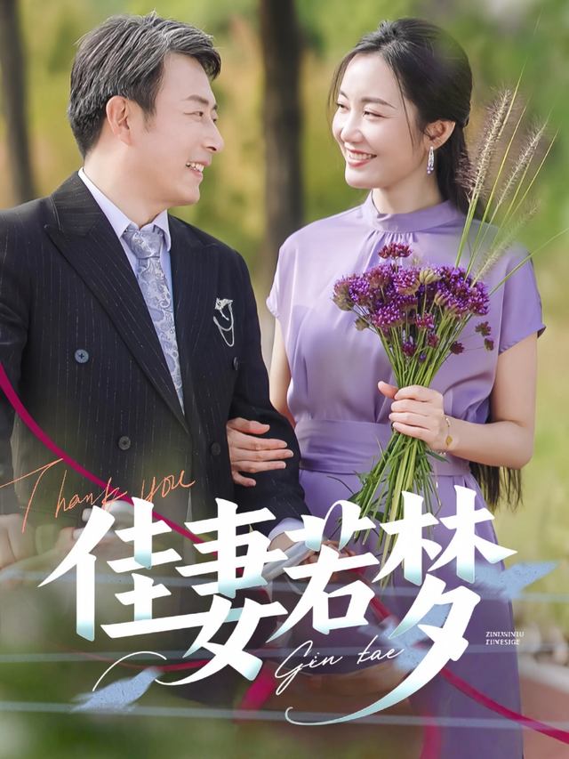 佳妻若梦封面