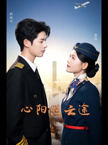 心阳照云途封面