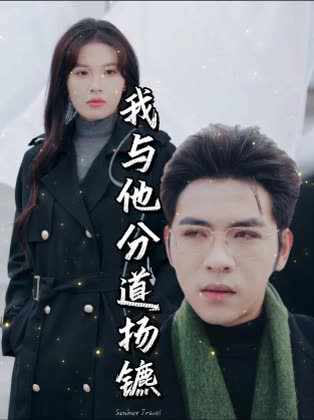 我与他分道扬镳封面