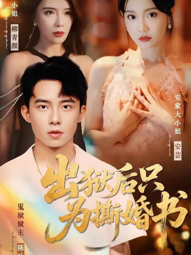 出狱后只为撕婚书封面