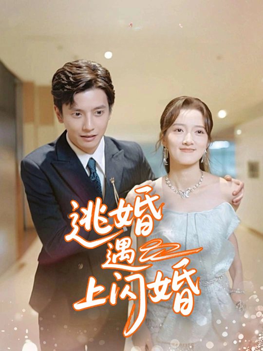 逃婚遇上闪婚封面