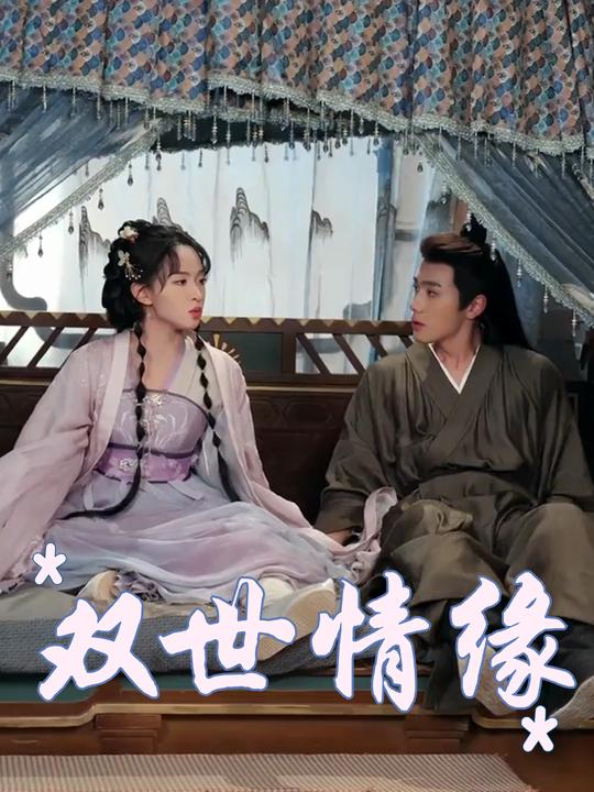 双世情缘封面