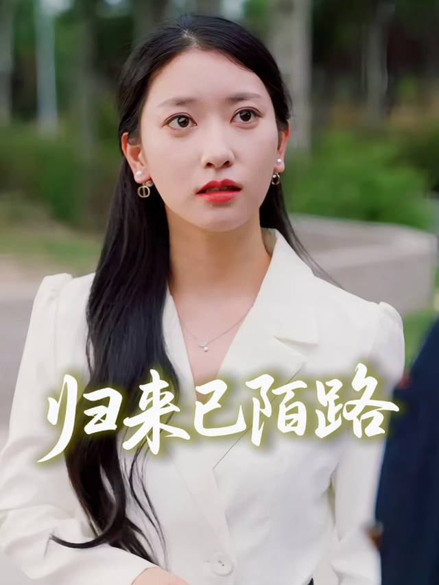归来已陌路封面