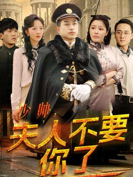 少帅,夫人不要你了封面