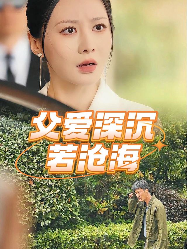 父爱深沉若沧海封面