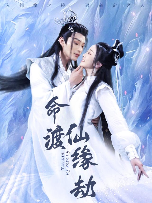 命渡仙缘劫封面