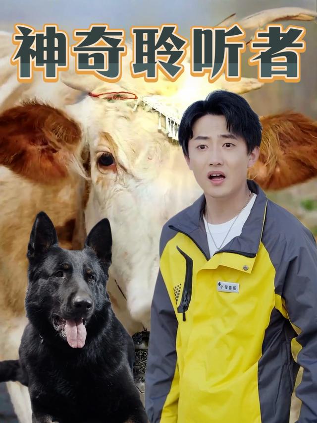 神奇聆听者封面