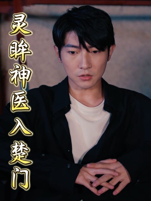 灵眸神医入楚门封面