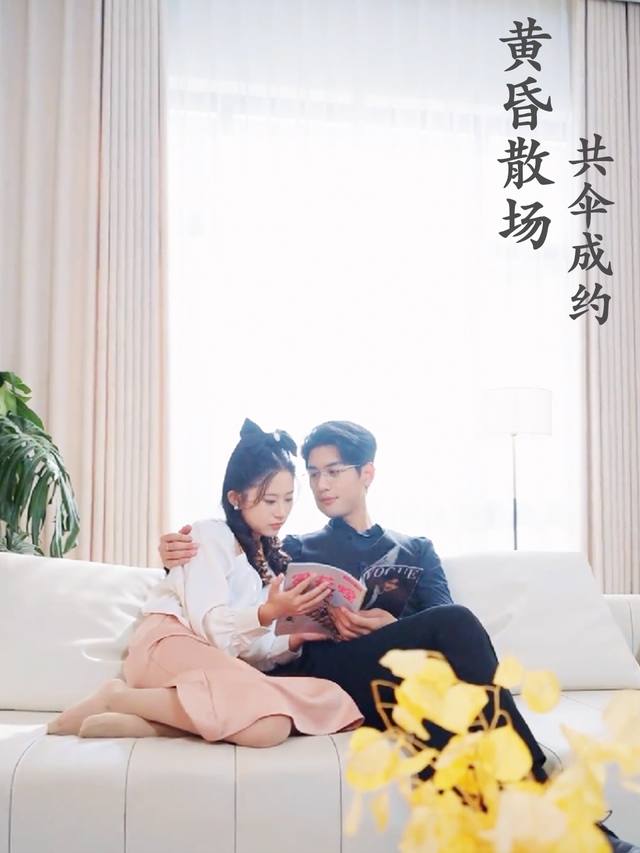 黄昏散场,共伞成约封面