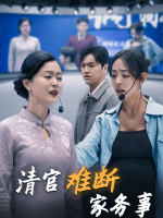 清官难断家务事封面