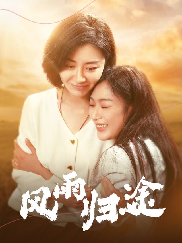 风雨归途封面