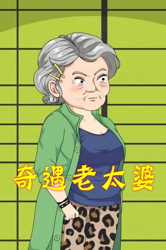 奇遇老太婆封面