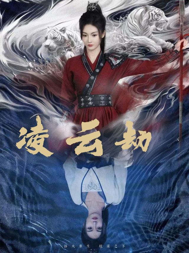 凌云劫封面