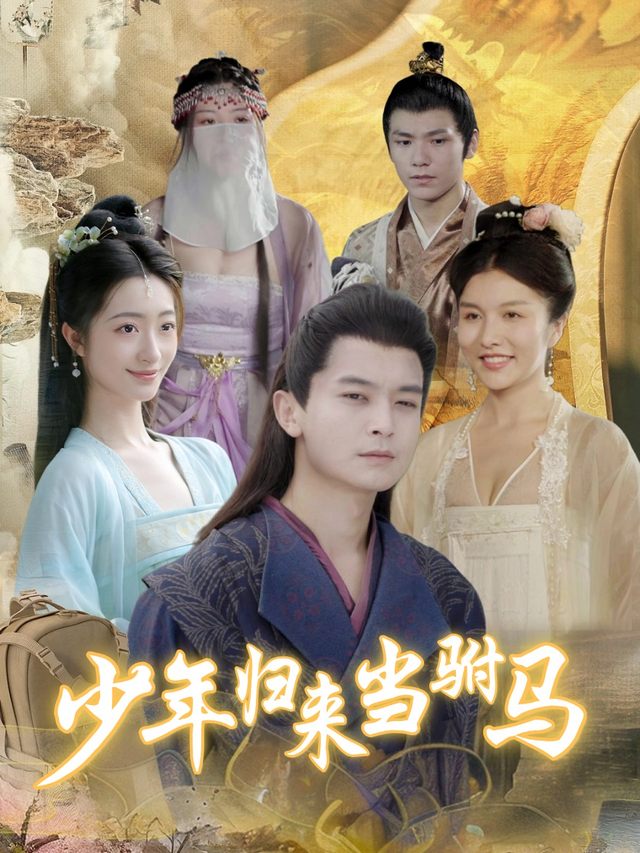 少年归来当驸马封面