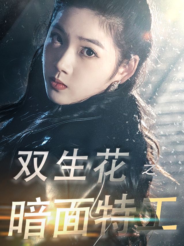 双生花之暗面特工封面