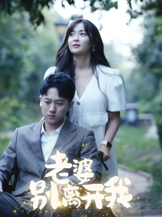 老婆,别离开我封面