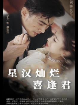 星汉灿烂喜逢君封面