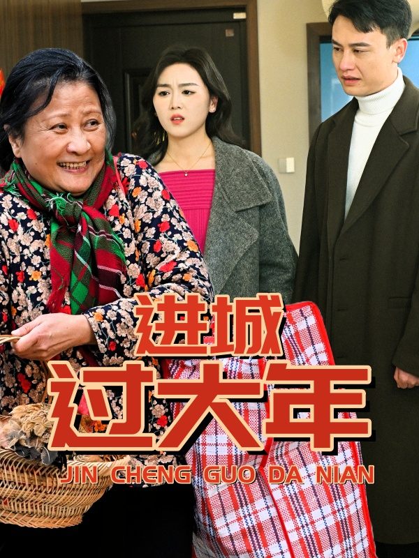 进城过大年封面