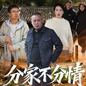 分家不分情封面