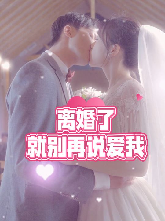 离婚了就别再说爱我封面