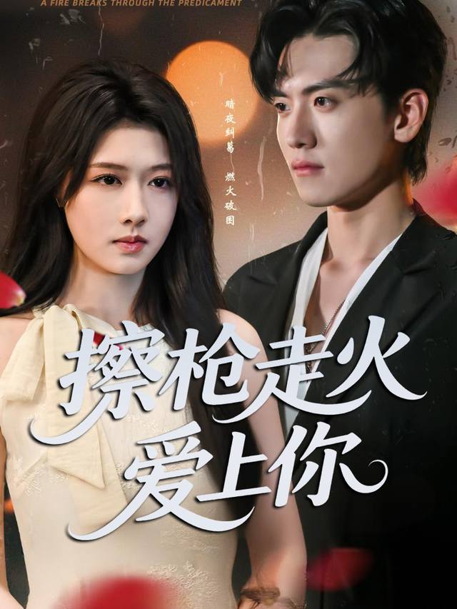 擦枪走火爱上你封面