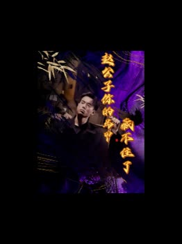 赵公子你的马甲藏不住了封面