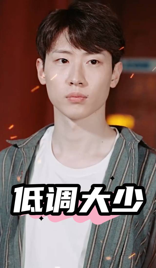 低调大少封面