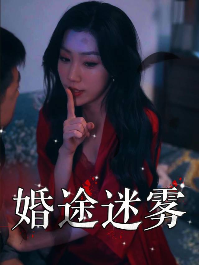 婚途迷雾封面