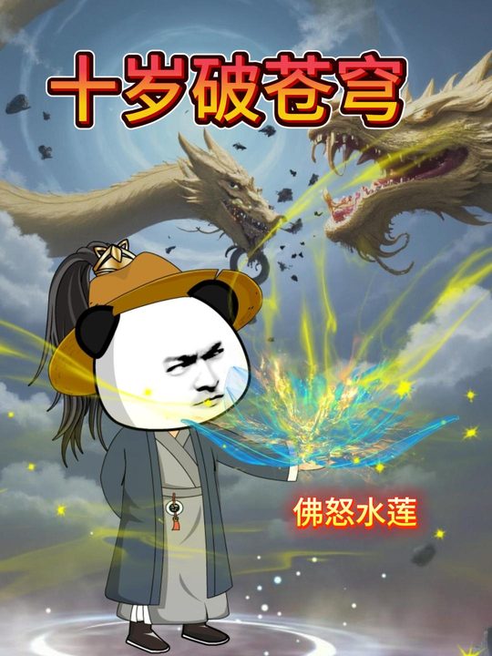 十岁破苍穹封面