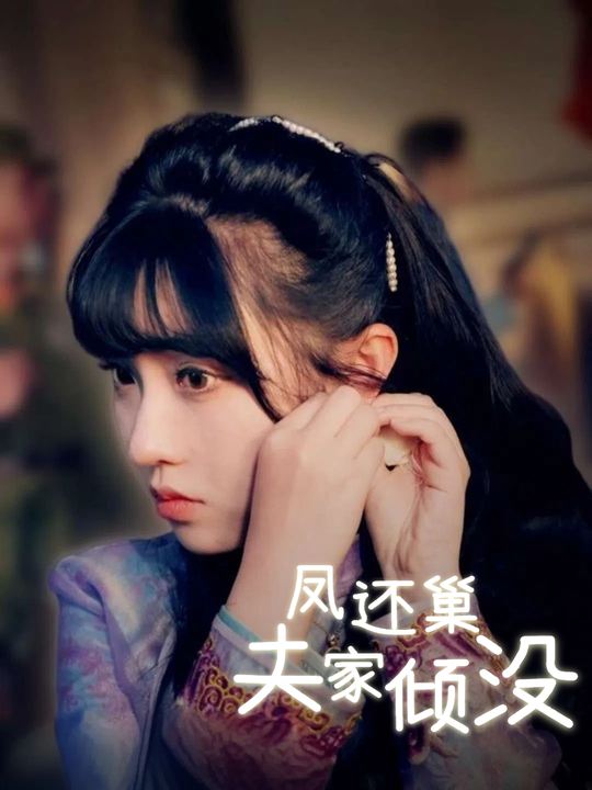 凤还巢夫家倾没封面