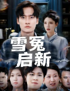 雪冤启新封面